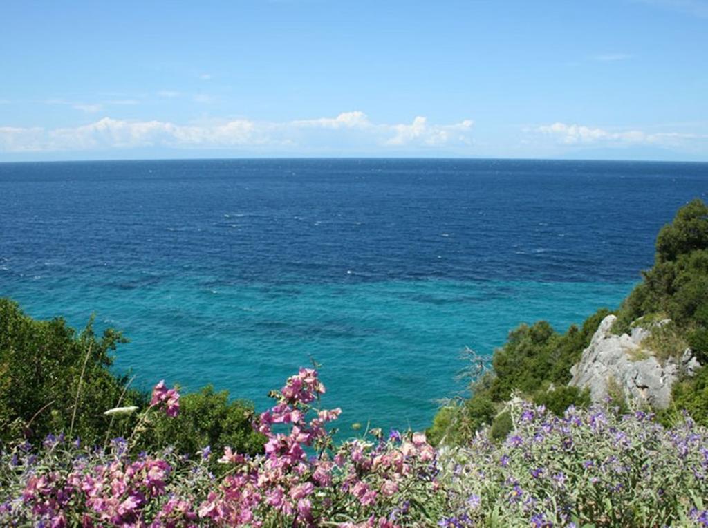 Gerakina Skala Holiday Houses 基拉奇尼 外观 照片